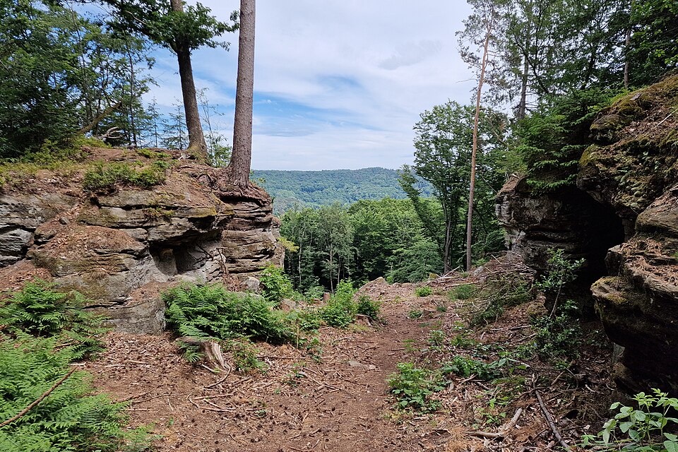 Felslandschaft im Sauertal bei Bollendorf – Sandstein, Farne und Wald